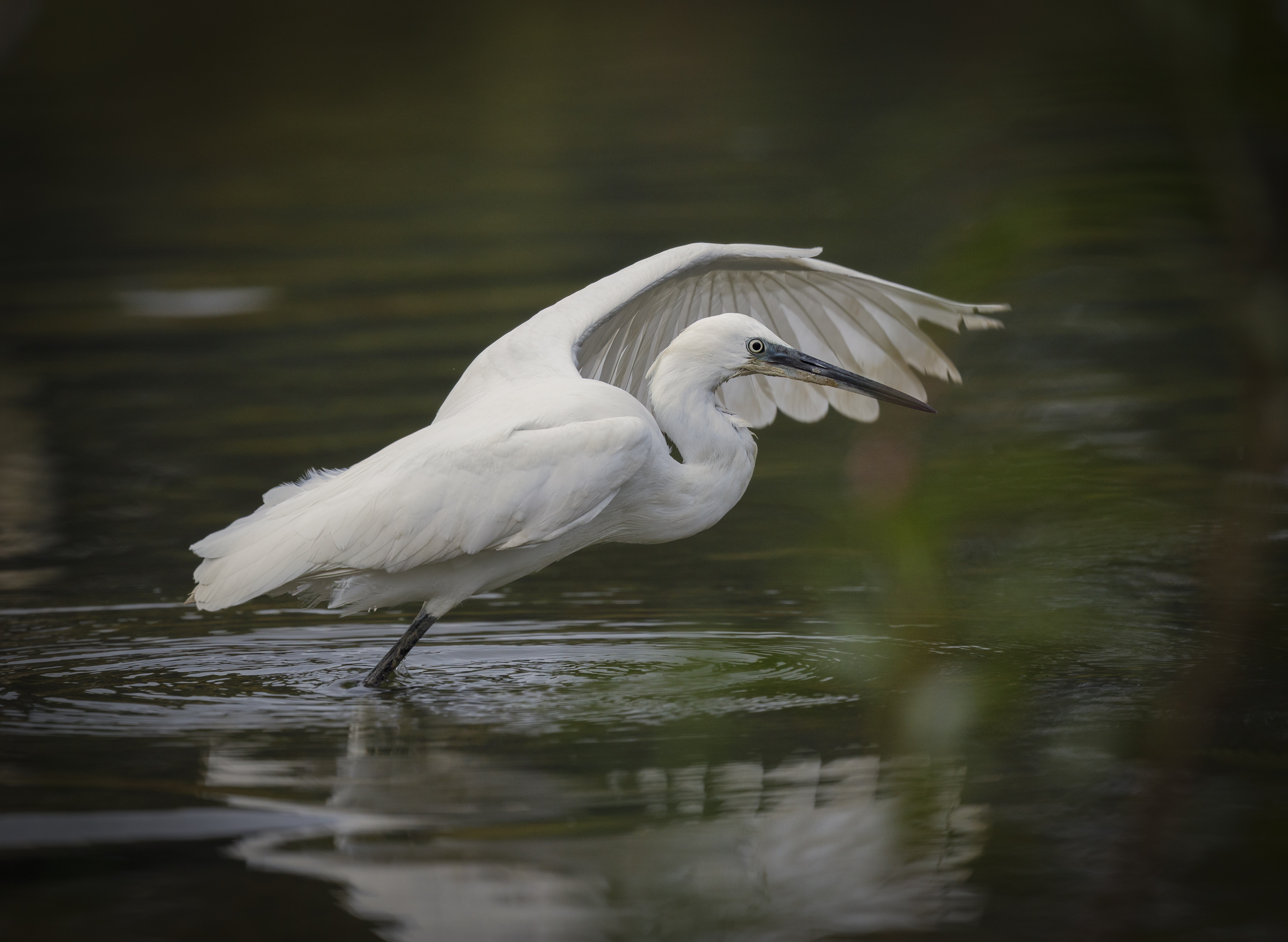 20201024-October 24, 2020-083501-2-083501-Edit.jpg